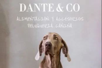 Dante & Co