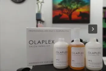 Onix Bcn Peluqueria Vegana